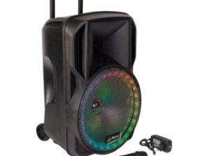 Party Sound PARTY-12RGB Draagbare luidspreker met Bluetooth, Radio en Licht effect / 700 Watt
